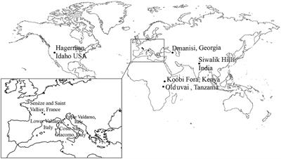 Evolution of Early Equus in Italy, Georgia, the Indian Subcontinent, East Africa, and the Origins of African Zebras